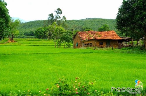 Xây trường cho trẻ em tại các vùng quê nghèo